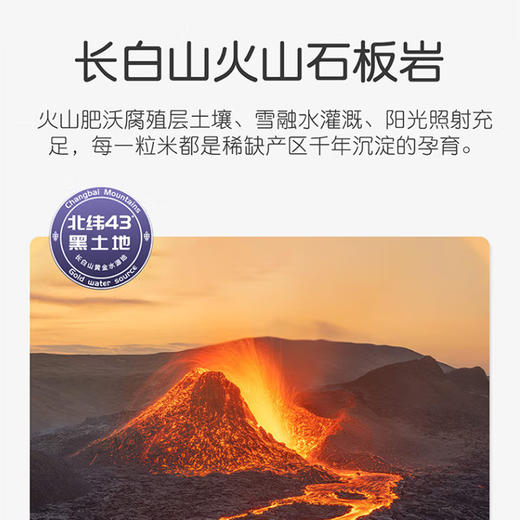 长白山火山岩有机大米（虎头系列）5KG 商品图4