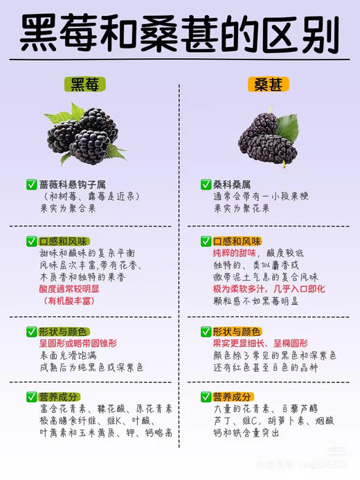 黑莓，基地自采，没用怡颗莓的标，性价比高 商品图4