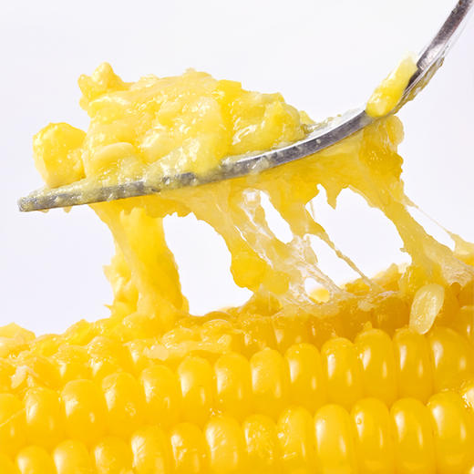 长白山黄糯玉米（黄） 10穗 商品图3