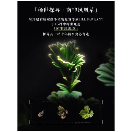 1楼 阿玛尼黑钥匙面霜（第三代）【25年爆款】 商品图3