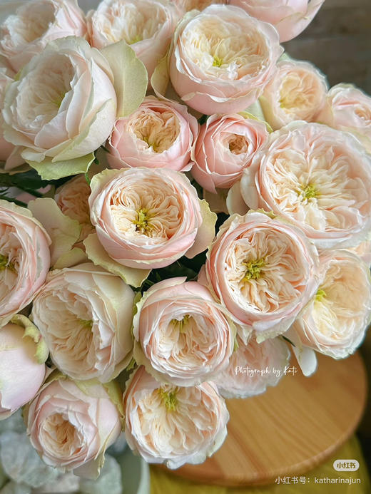 国产玫瑰-【达林顿】多头 商品图0