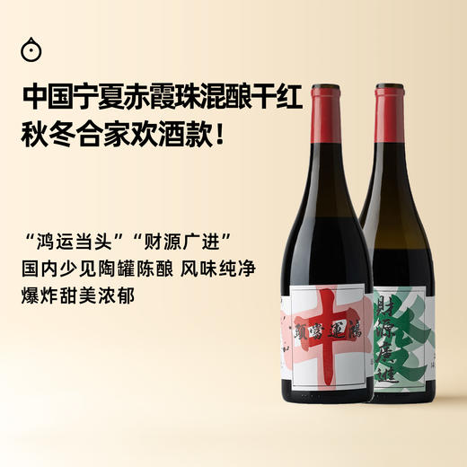 企鹅市集|中国宁夏天得龙驿酒庄 赤霞珠混酿干红葡萄酒 合家欢首选 少见陶罐陈酿 商品图0
