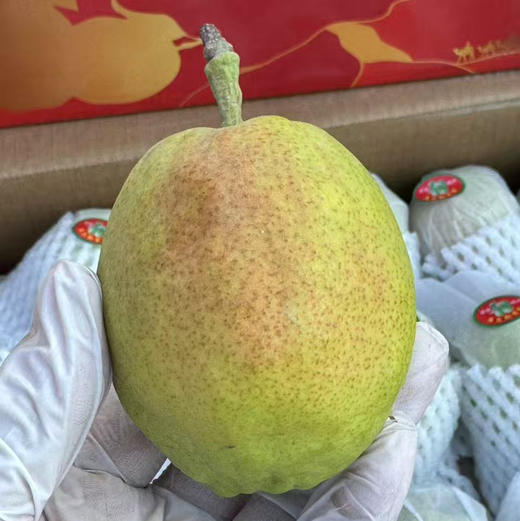 【新库尔勒香蜜梨】如清泉般甘洌，如蜂蜜般香甜，就是这个味！ 商品图11