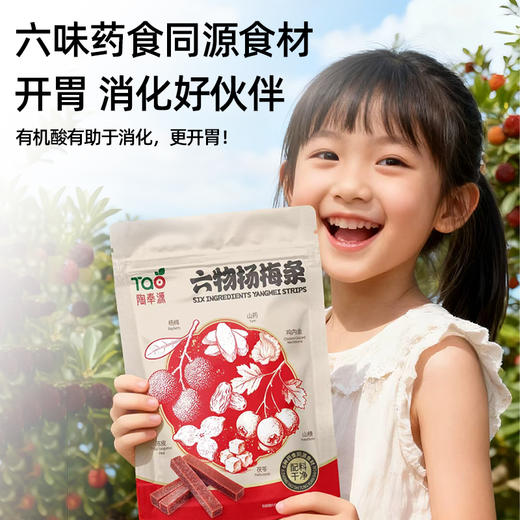 陶奉源六物杨梅条 95克/包   鲜果熬制，健康无添加 商品图3