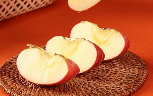 可以连皮啃的高原苹果【洛川苹果】 原生态种植 晒出高原红 蜂蜜授粉 果肉丰厚 商品图4