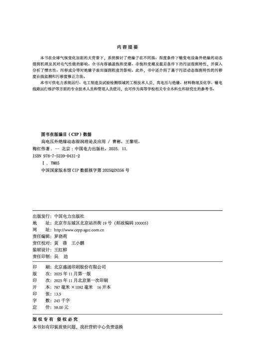 高电压外绝缘动态湿润理论及应用 商品图3