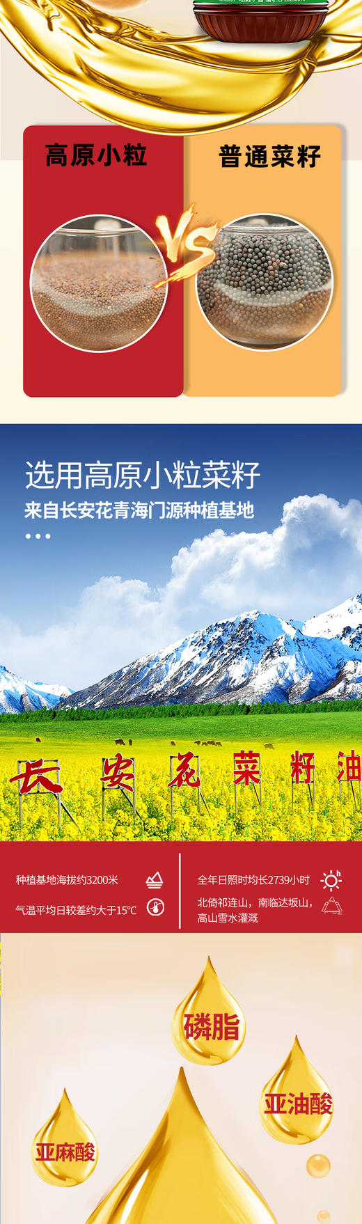 长安花菜籽油传统土榨5L（一级油） 商品图2