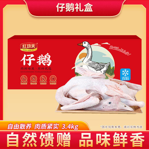 肉鹅（半膛）肉鹅3kg*1（冷冻生鲜类商品不退，质量问题只换） 商品图2