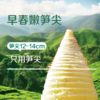 【开袋即烹】极野鲜笋 双有机玉兰笋尖 200g/袋*5袋 全程可溯源 只用嫩笋尖 手工精切 商品缩略图1