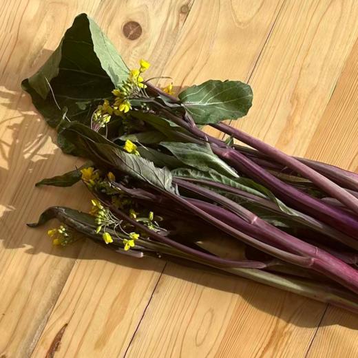 【预售】生态洪山菜薹| 一周内发货 |合作生产 | 基地直发|  * Ecological Hongshan Caotai 商品图2