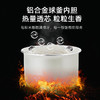 Abereve艾贝丽双胆智能低糖电饭煲ABL-DFB409 白色 4L 商品缩略图2