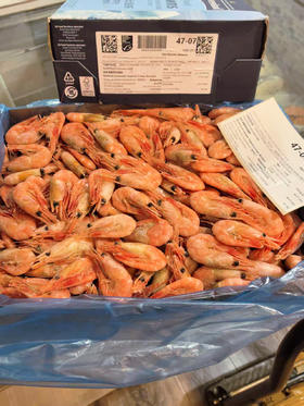 【皇冠北极虾80-100头】125元/2.5斤（塑料袋分装），249元/5斤（塑料袋分装），499元/10斤/原箱（特价不包邮）