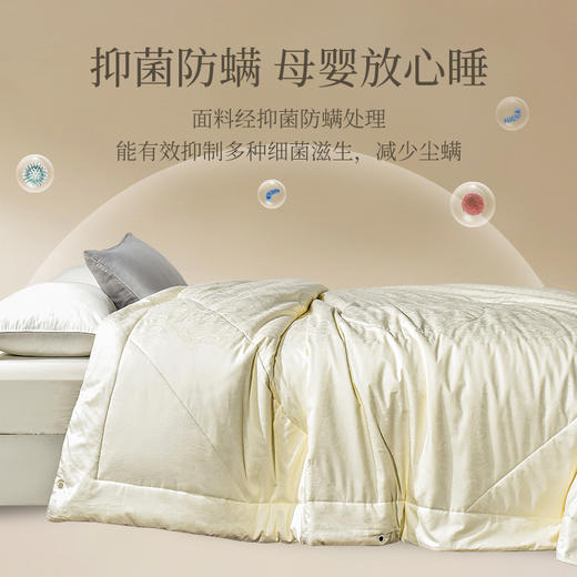 雅芳婷双宫蚕丝被100%桑蚕丝四季被抑菌防螨冬被四季通用被子被芯 商品图4