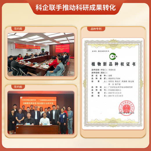 邻家饭香 圣香低谷蛋白大米 5kg 袋 真空双层包装 LJFX313 商品图7