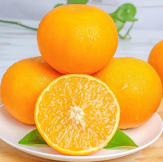 爱媛果冻橙 商品图3