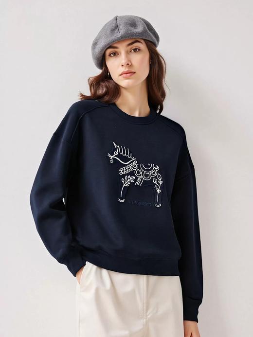 BI需安排上小马刺绣卫衣 商品图1