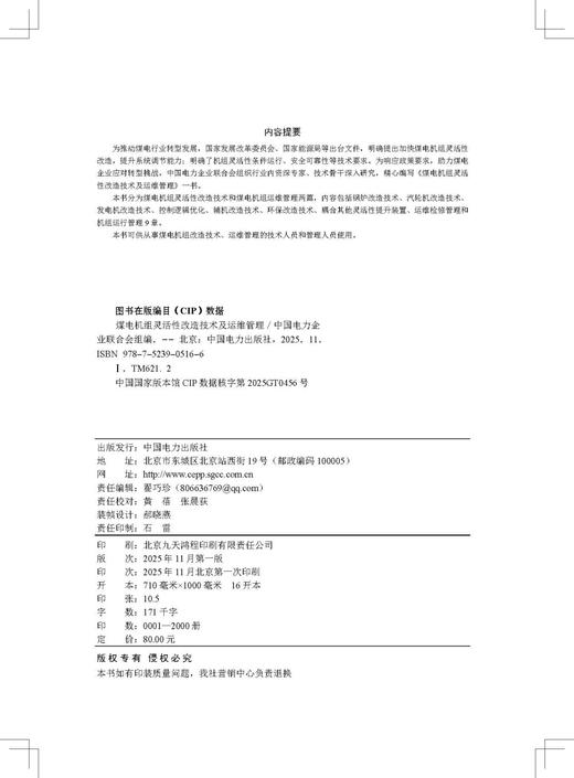 煤电机组灵活性改造技术及运维管理 商品图3