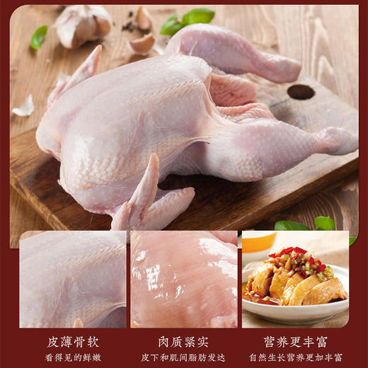 清远鸡礼盒B款清远鸡1.1kg*2只（冷冻生鲜类商品不退，质量问题只换） 商品图5
