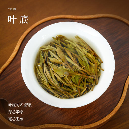 懂茶帝荒野白牡丹2023年吴洋山福鼎白茶花香炭焙白牡丹散茶50g 商品图3