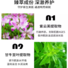 Pola 宝丽 B.A洁面膏 100g 商品缩略图1