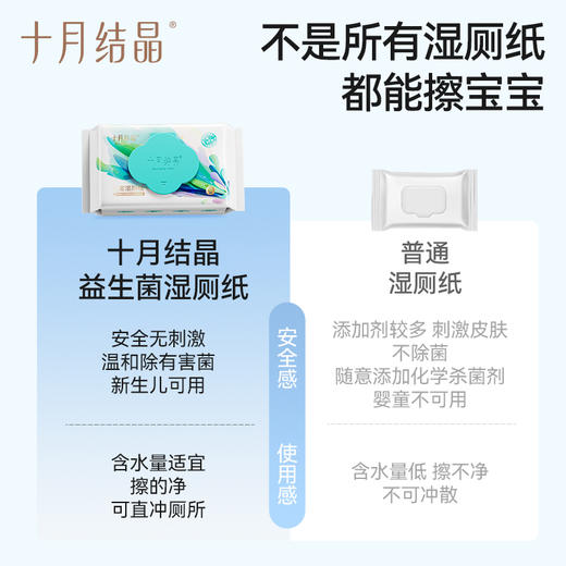 【99元10件】宝宝湿厕纸0刺激益生菌抑菌家庭实惠装孕产妇私处擦屁屁 商品图1