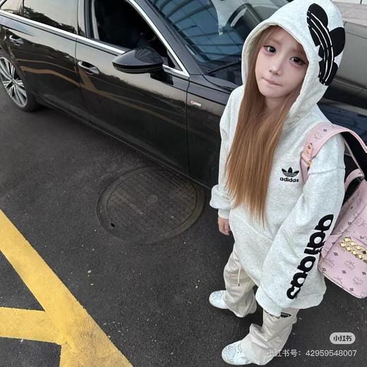 D121599冬季新款高版字母刺绣贴布男女同款加绒连帽卫衣 商品图6