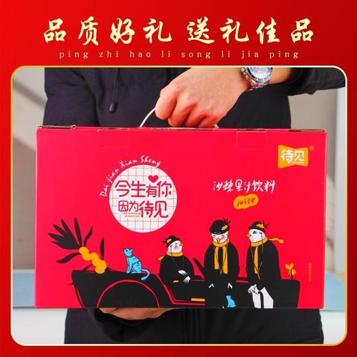 PET标箱沙棘汁350ml*10 商品图4