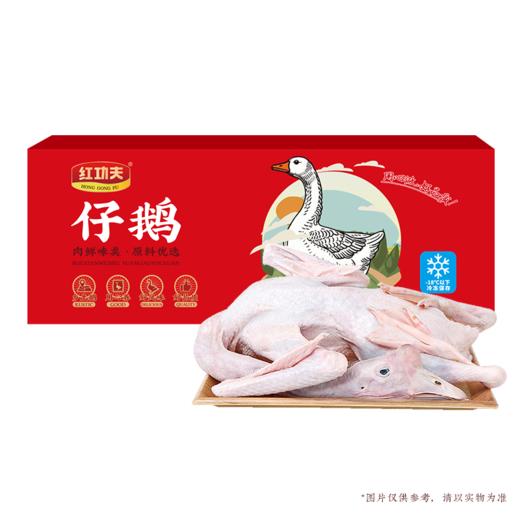 肉鹅（半膛）肉鹅3kg*1（冷冻生鲜类商品不退，质量问题只换） 商品图0