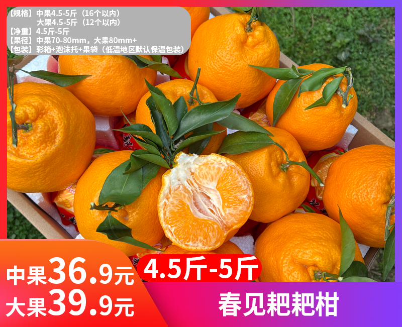【春见耙耙柑】耙耙柑是产自四川的柑中极品 集“甜、香、嫩、薄、鲜”于一身 是寒冬里北纬30°最甜蜜的遇见-XD