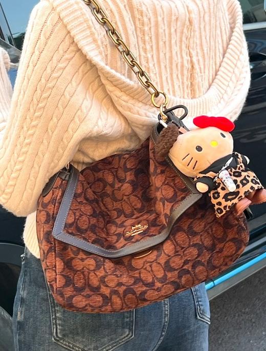 一店k （代工厂订单！）秋冬新品合集！颜值简直开挂！这个冬天就是Coa了！25年新款包袋合集 只只惊艳！ 商品图10