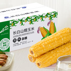 长白山黄糯玉米（黄） 10穗