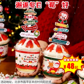 【半日营·12月28日】圣诞采摘草莓季，邂逅冬日“莓”好，解锁红润甜蜜时光