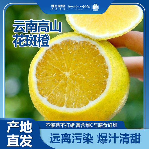 【云南高山花斑橙】远离污染 不催熟不打蜡 富含维C与膳食纤维 爆汁清甜 商品图0