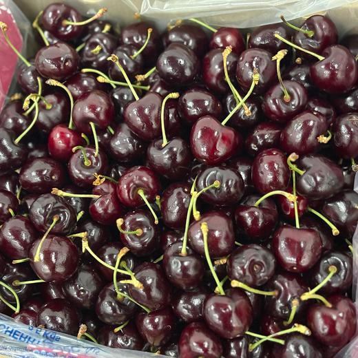 【2025 智利海运车厘子】漂洋过海海运来的新鲜黑车，果子的新鲜度、脆口度还不错哟，santina车厘子独有的酸甜滋味绝对刺激你的味蕾，肉厚鲜甜爽口！2斤尝鲜装/5斤原箱，江浙沪皖顺丰包邮~ 商品图0