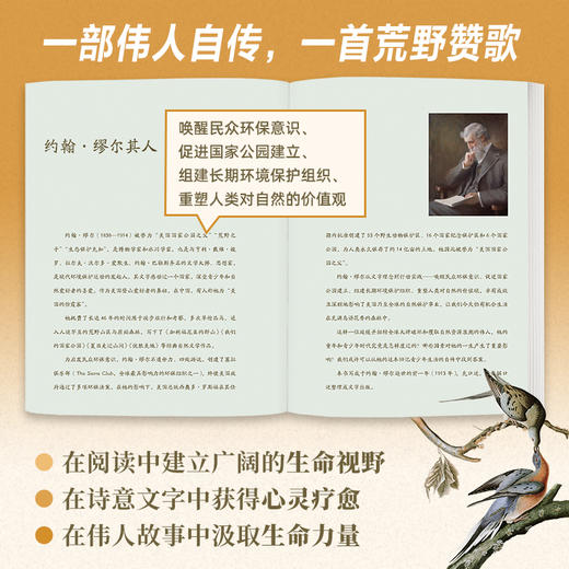 【9岁+】《聆听荒野：我的青少年时代》自然文学佳作 商品图3