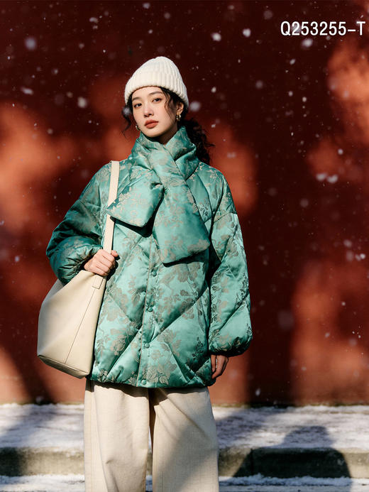 Q253255-T羽绒服95白鸭绒 商品图1