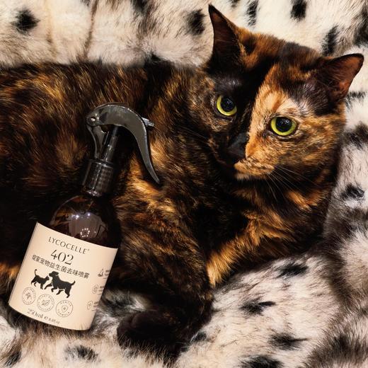 [屁侠推荐] 绽家宠物除臭剂 益生菌去异味 猫狗 抑菌喷雾250ml 商品图0