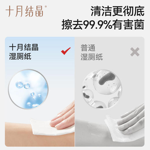 【99元10件】宝宝湿厕纸0刺激益生菌抑菌家庭实惠装孕产妇私处擦屁屁 商品图2