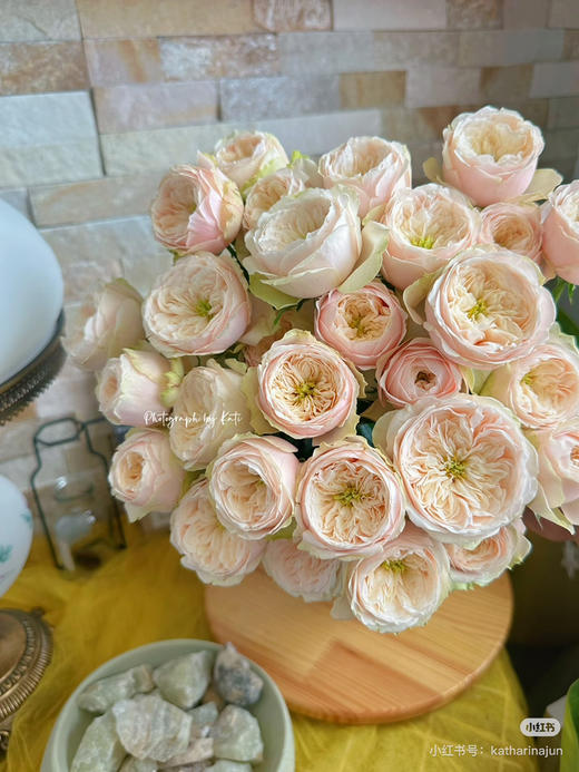 国产玫瑰-【达林顿】多头 商品图1