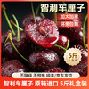 【智利原箱车厘子】 硬！脆！甜！5斤装原箱发货 商城采购 全程品控  只选车厘子界的元老选手桑缇娜品种JD/JJD/JJJD 加大加黑 顺丰/京东发货 商品缩略图0