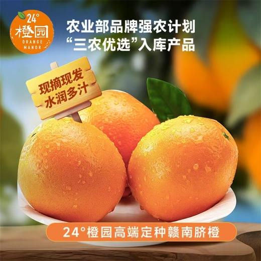 24度赣南脐橙10斤优级礼盒装（直径70-80mm） 商品图0