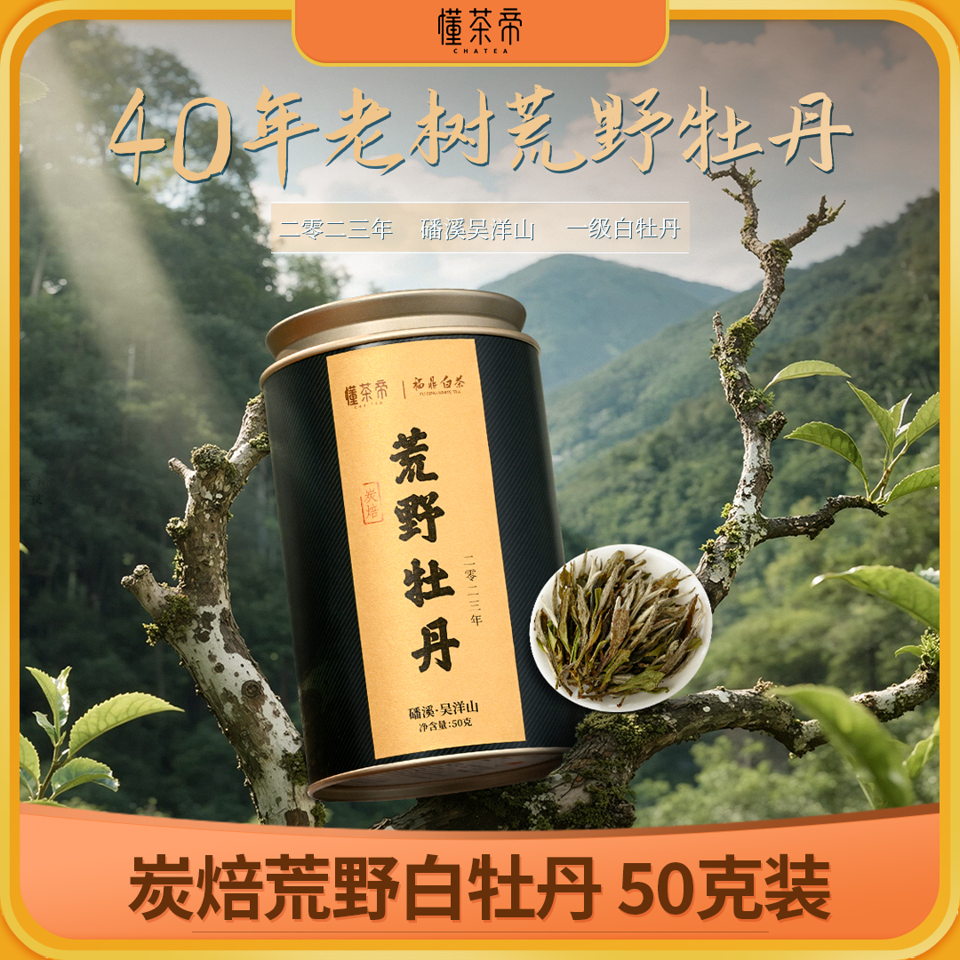 懂茶帝荒野白牡丹2023年吴洋山福鼎白茶花香炭焙白牡丹散茶50g