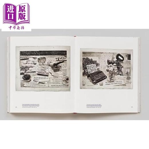 【中商原版】William Kentridge: Listen to the Echo 进口艺术 威廉 肯特里奇：聆听回声 商品图4