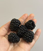 黑莓，基地自采，没用怡颗莓的标，性价比高 商品缩略图0