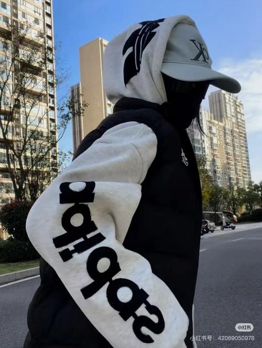 D121599冬季新款高版字母刺绣贴布男女同款加绒连帽卫衣 商品图12