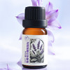 朵域精油   薰衣草味 商品缩略图6