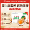 灵芝鲜鸡蛋15枚/盒灵芝边角料喂养健康又营养 商品缩略图0