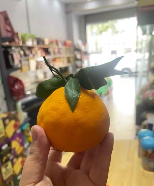 周六取货： 【爆浆春见】一筐毛重6斤左右，果肉饱满，甜嫩多汁！ 商品图1