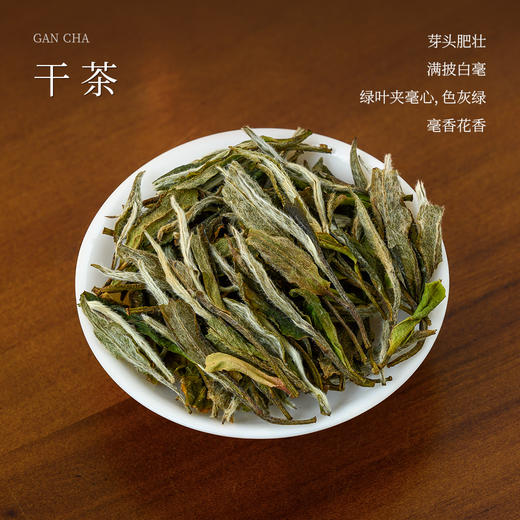 懂茶帝荒野白牡丹2023年吴洋山福鼎白茶花香炭焙白牡丹散茶50g 商品图1