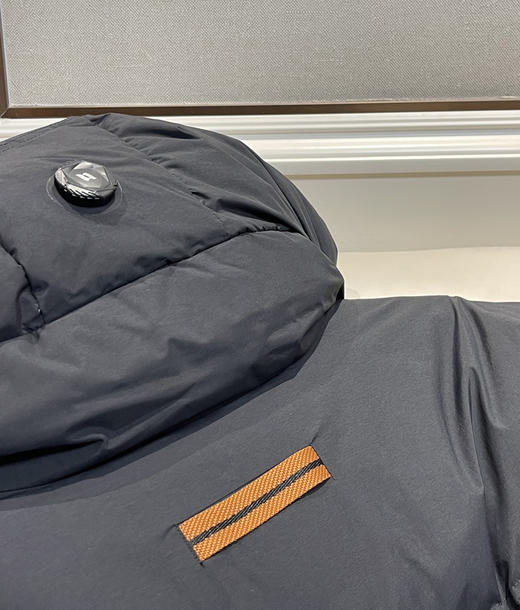 原单杰尼亚Motorin 男士羽绒服121501 商品图6